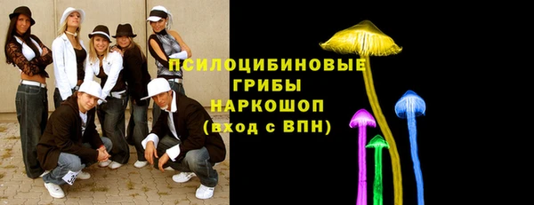эйфоретик Заводоуковск